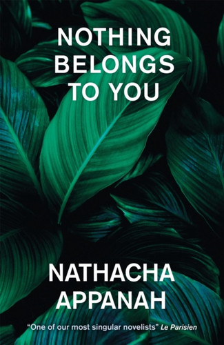 Nothing Belongs to You 9781529422832 Paperback