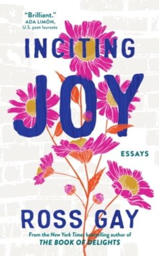 Inciting Joy 9781399716017 Paperback