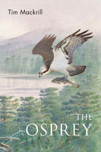 The Osprey 9781472992611 Paperback The Osprey 9781472992611 Paperback