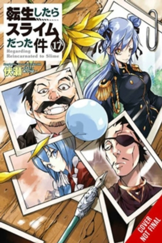 That Time I Got Reincarnated as a Slime, Vol. 17 (light novel) 9781975375539 Paperback