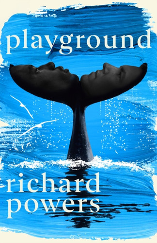 Playground 9781529154313 Hardback