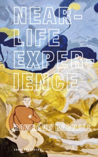 Near-Life Experience 9781800173903 Paperback Near-Life Experience 9781800173903 Paperback