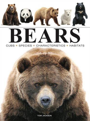 Bears 9781838863586 Paperback