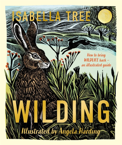 Wilding: How to Bring Wildlife Back - An Illustrated Guide 9781529092844