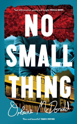 No Small Thing 9781800815582 Hardback