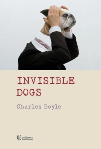 Invisible Dogs 9781909585584 Paperback