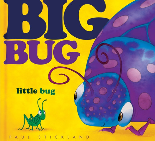 Big Bug, Little Bug 9781848570689 Hardback Big Bug, Little Bug 9781848570689 Hardback