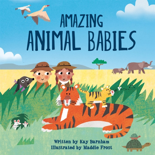 Look and Wonder: Amazing Animal Babies 9781526305930 Paperback Look and Wonder: Amazing Animal Babies 9781526305930 Paperback