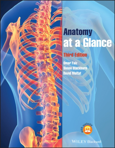 Anatomy at a Glance 9781444336092 Paperback