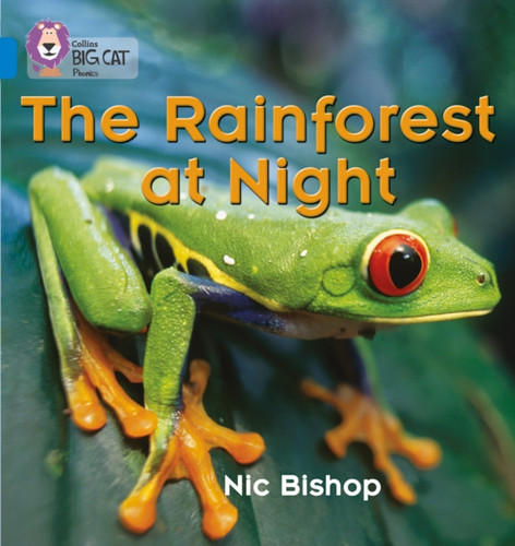 The Rainforest at Night 9780007236053 Paperback The Rainforest at Night 9780007236053 Paperback