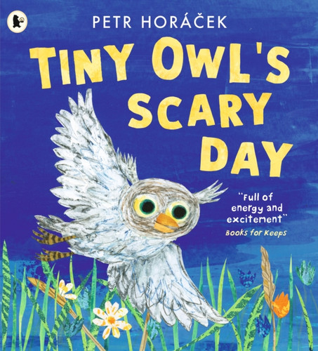 Tiny Owl's Scary Day 9781529517194 Paperback Tiny Owl's Scary Day 9781529517194 Paperback