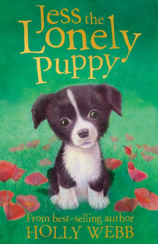 Jess the Lonely Puppy 9781847151179 Paperback Jess the Lonely Puppy 9781847151179 Paperback