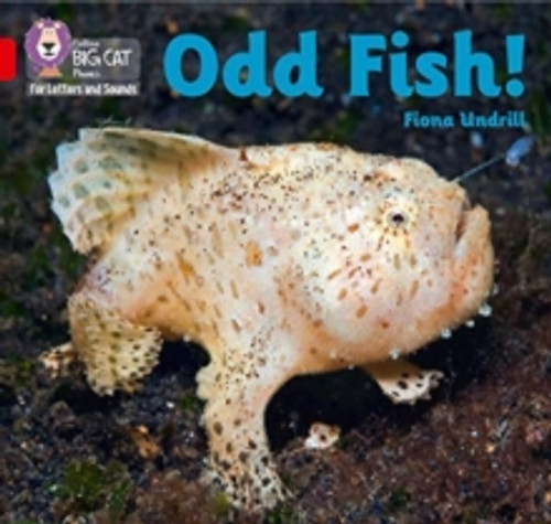 Odd Fish! 9780008410223 Paperback Odd Fish! 9780008410223 Paperback