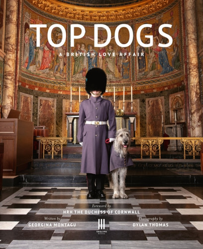 Top Dogs 9781916355446 Hardback Top Dogs 9781916355446 Hardback