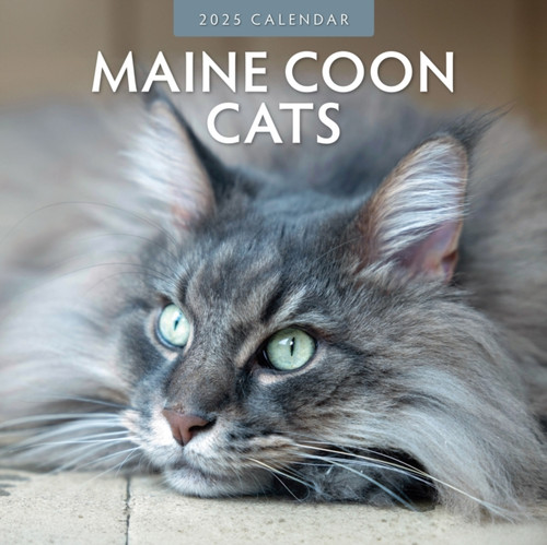 Maine Coon Cats 2025 Square Wall Calendar 9781804423974 Paperback Maine Coon Cats 2025 Square Wall Calendar 9781804423974 Paperback