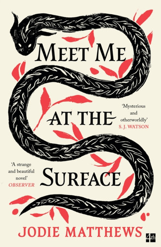 Meet Me at the Surface 9780008585051 Paperback