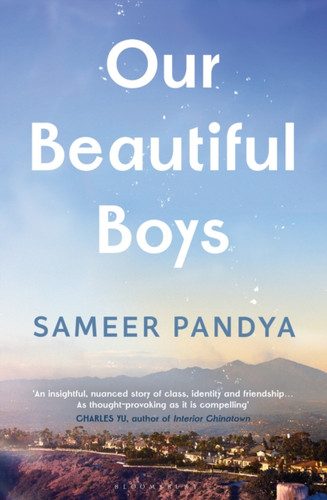 Our Beautiful Boys 9781526676924 Hardback
