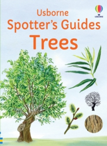 Spotter's Guides: Trees 9781805073000 Paperback Spotter's Guides: Trees 9781805073000 Paperback
