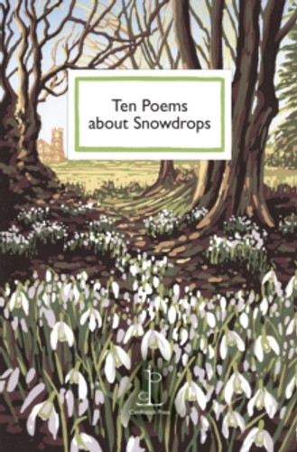 Ten Poems about Snowdrops 9781913627485 Paperback Ten Poems about Snowdrops 9781913627485 Paperback