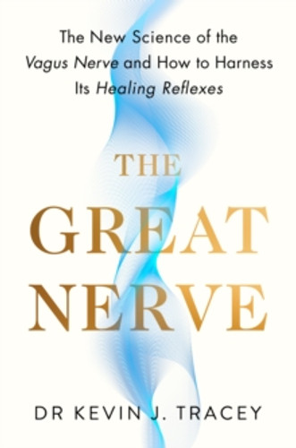 The Great Nerve 9780241762400 Hardback The Great Nerve 9780241762400 Hardback