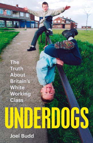 Underdogs 9781035015122 Hardback