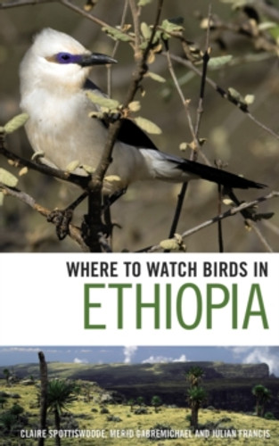 Where to Watch Birds in Ethiopia 9781408130759 Paperback