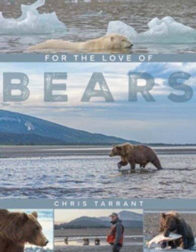 For The Love Of Bears 9781914227820 Hardback
