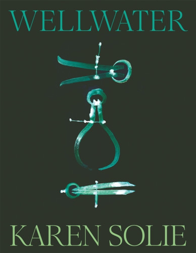 Wellwater 9781035048182 Paperback Wellwater 9781035048182 Paperback