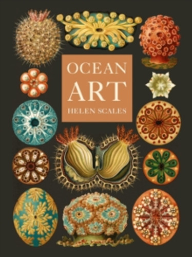 Ocean Art 9781836390985 Hardback Ocean Art 9781836390985 Hardback