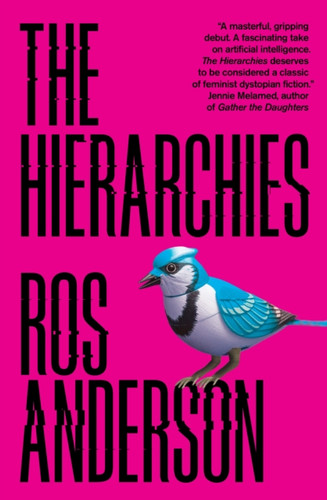 The Hierarchies 9781911585787 Paperback