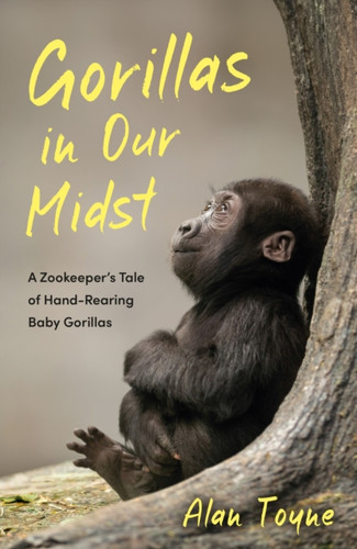 Gorillas in Our Midst 9781837995257 Paperback Gorillas in Our Midst 9781837995257 Paperback