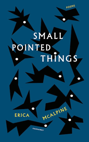 Small Pointed Things 9781800174771 Paperback Small Pointed Things 9781800174771 Paperback