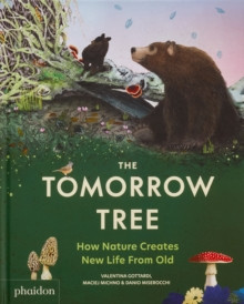The Tomorrow Tree 9781837290284 Hardback