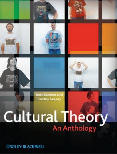 Cultural Theory 9781405180825 Paperback