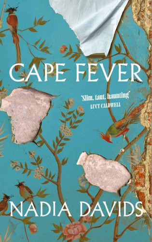 Cape Fever 9781398544048 Hardback