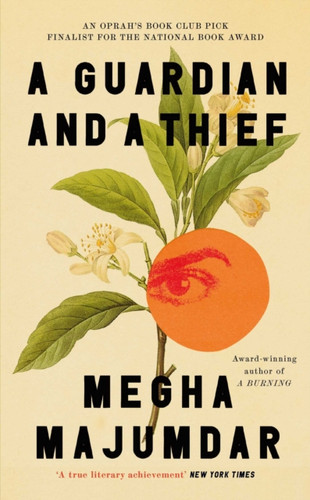 A Guardian and a Thief 9781398551640 Hardback