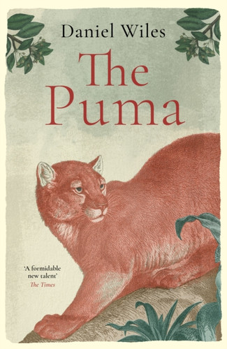 The Puma 9781800753686 Hardback