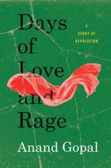 Days of Love and Rage 9780745342818 Hardback