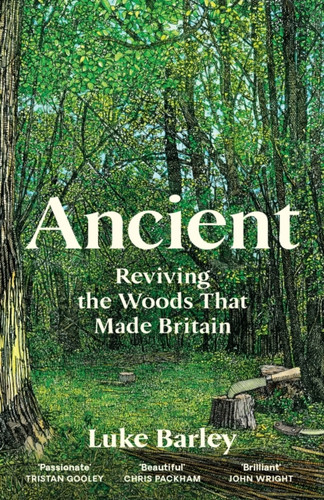 Ancient 9781805222231 Hardback