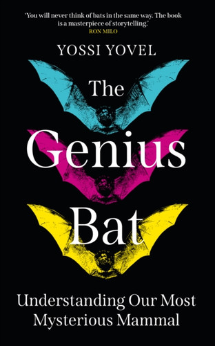 The Genius Bat 9781836432036 Hardback