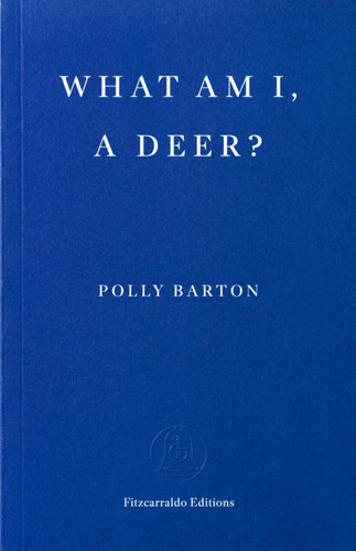 What Am I, A Deer? 9781804272176 Paperback