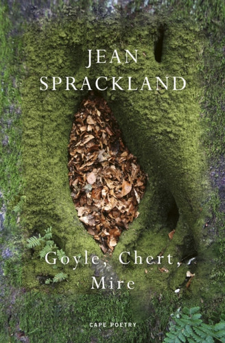 Goyle, Chert, Mire 9781787335912 Paperback