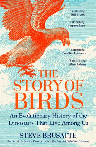 The Story of Birds 9781035032518 Hardback