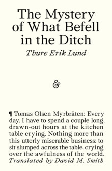 The Mystery of What Befell in the Ditch 9781916751712 Paperback