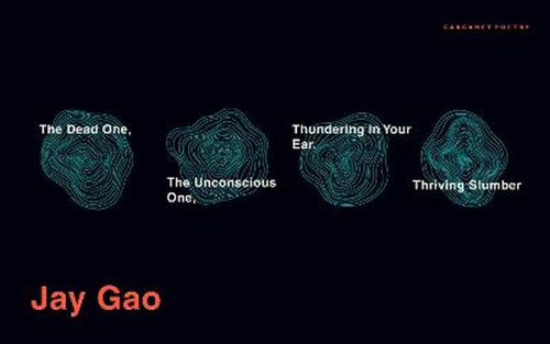 The Dead One, The Unconscious One, Thundering in Your Ear, Thriving Slumber 9781800175327 Paperback