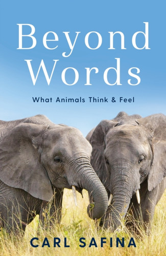 Beyond Words 9781788164238 Paperback