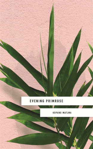 Evening Primrose: a heart-wrenching novel for our times 9781473662285 Paperback