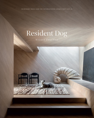 Resident Dog (Volume 2) 9781784883508 Hardback