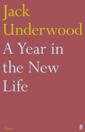 A Year in the New Life 9780571367252 Paperback