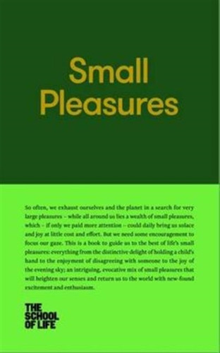 Small Pleasures 9780993538735 Hardback